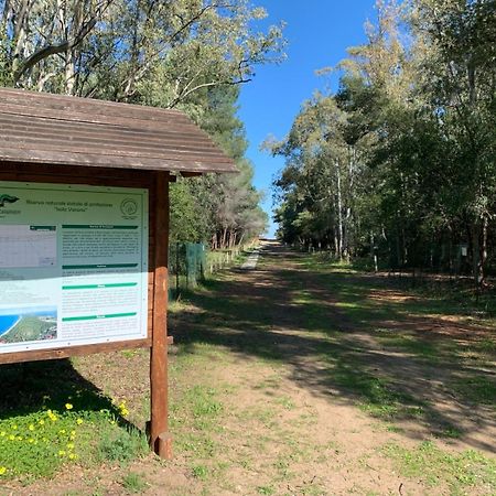 Villaggio Camping Uria 弗切瓦拉诺 外观 照片